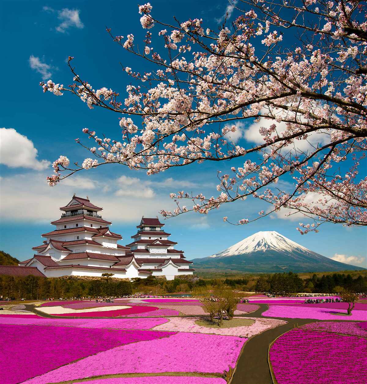 Papier peint Jardins japonais au soleil