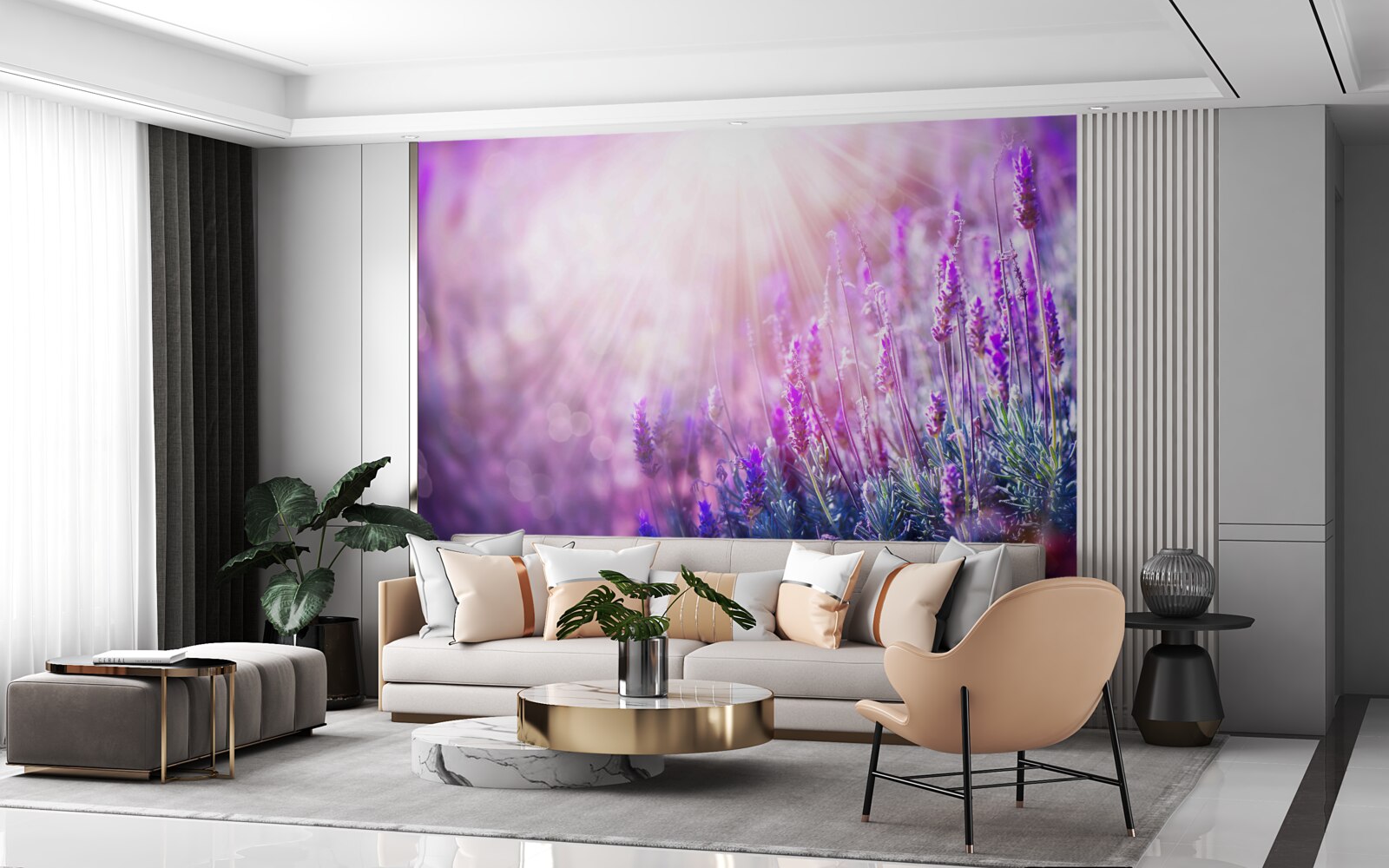 Papier peint les rayons du soleil illuminent les buissons de lavande