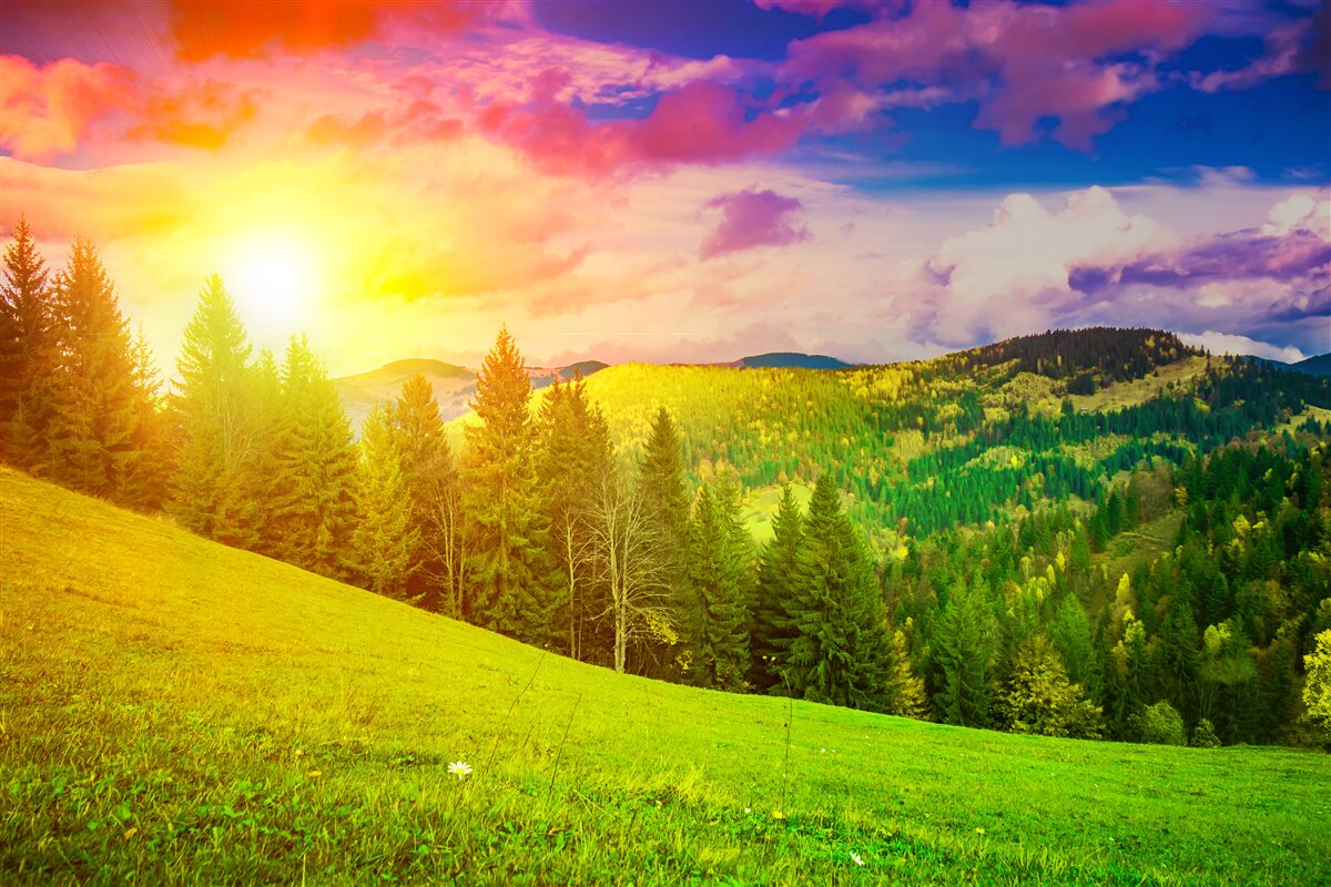 Papier peint le coucher de soleil brûlant a peint la colline verte de couleurs vives