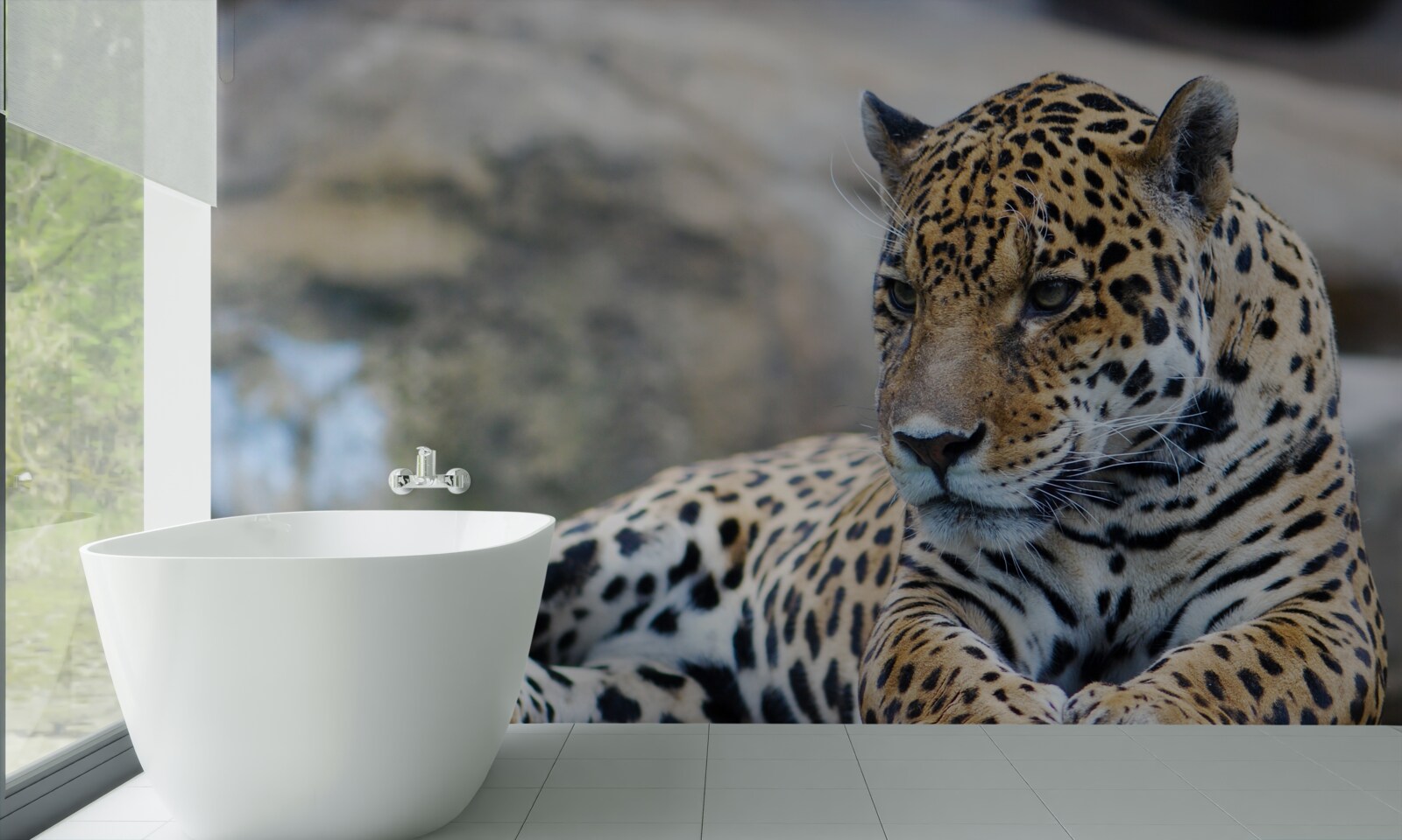 Papier peint le léopard se détend sur des surfaces en bois