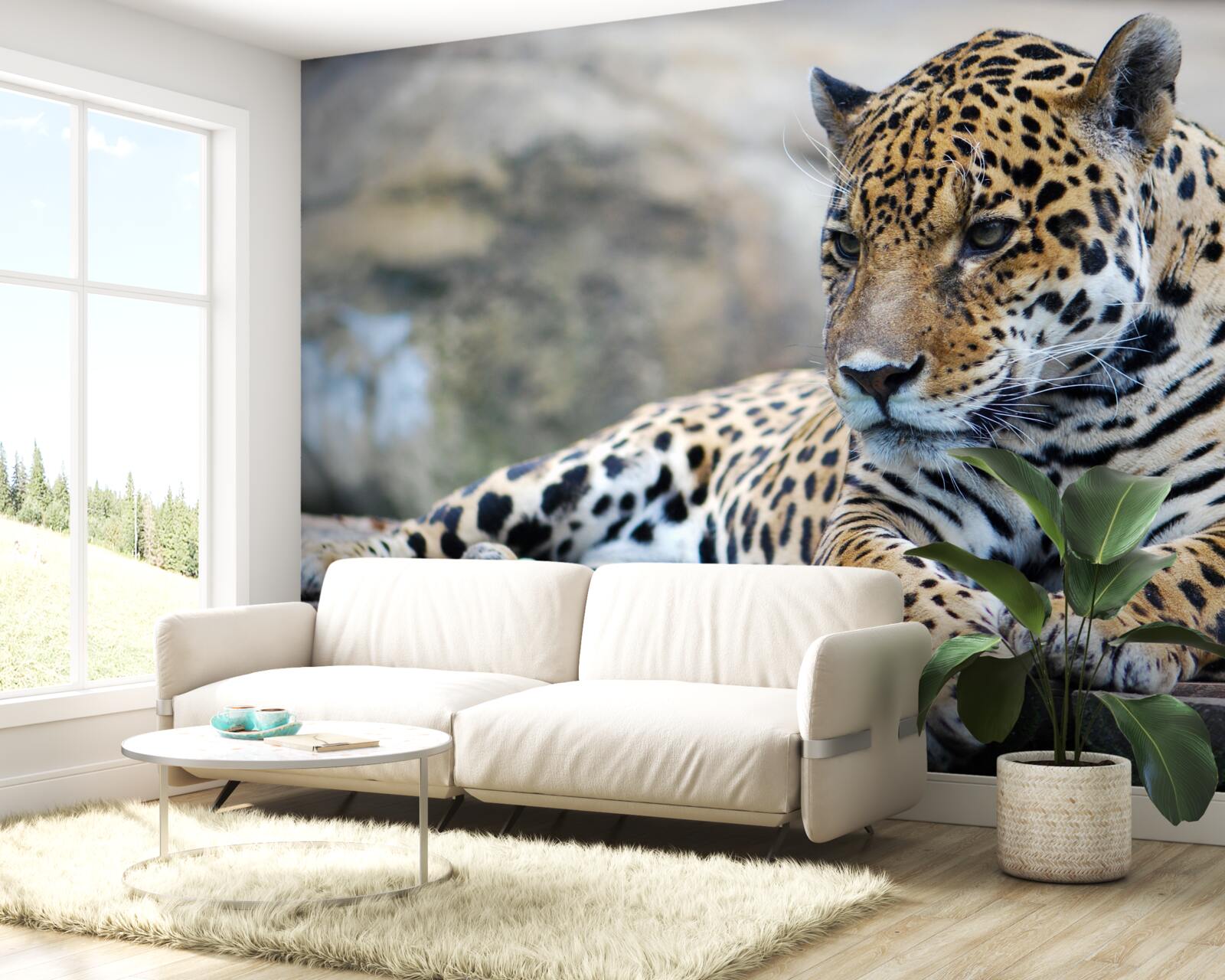 Papier peint le léopard se détend sur des surfaces en bois