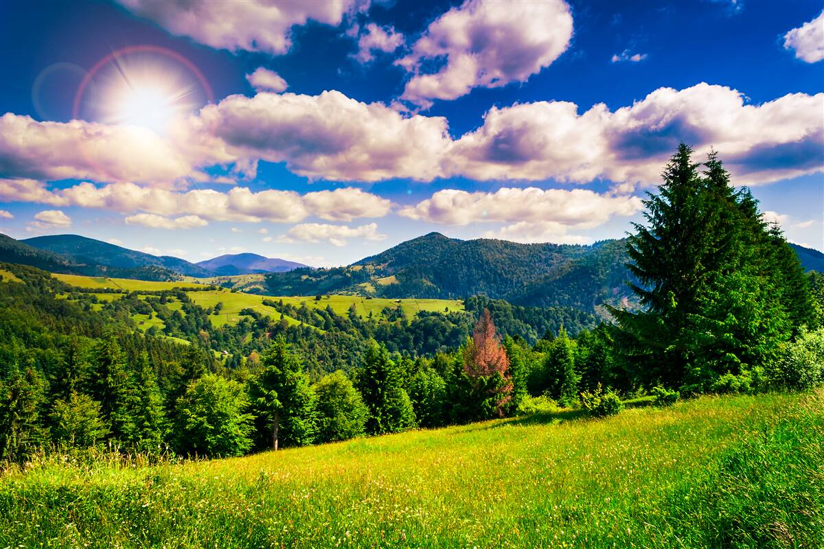 Papier peint par temps clair, les sommets verts des prairies