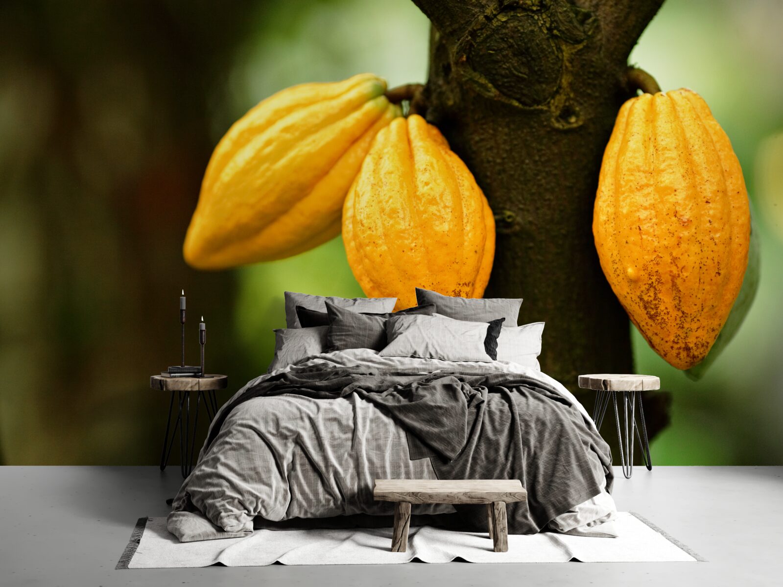 Papier peint grains de café sur la plante