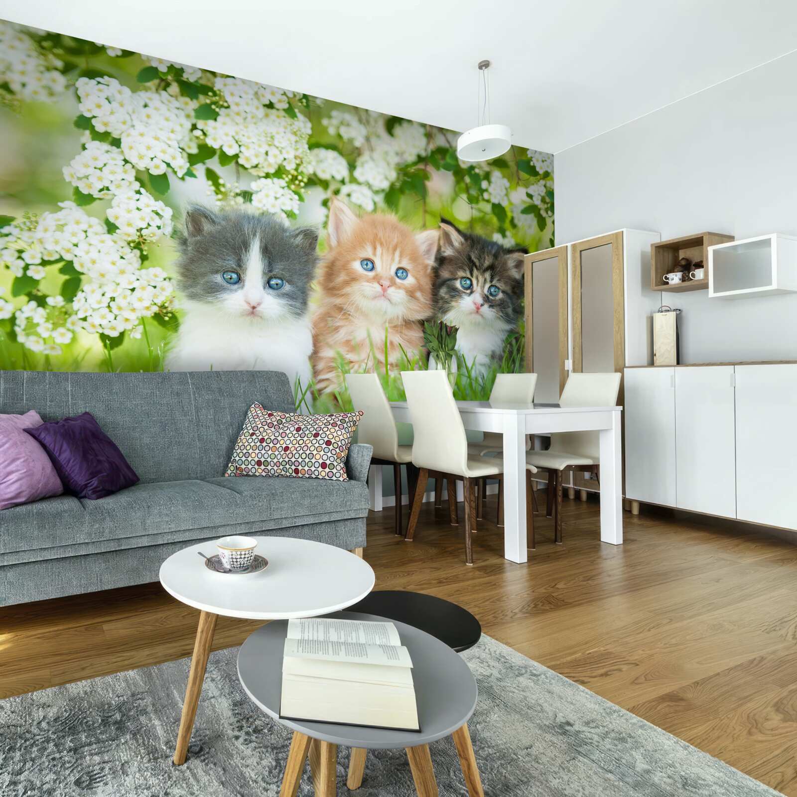 Papier peint chatons dans un pré en fleurs