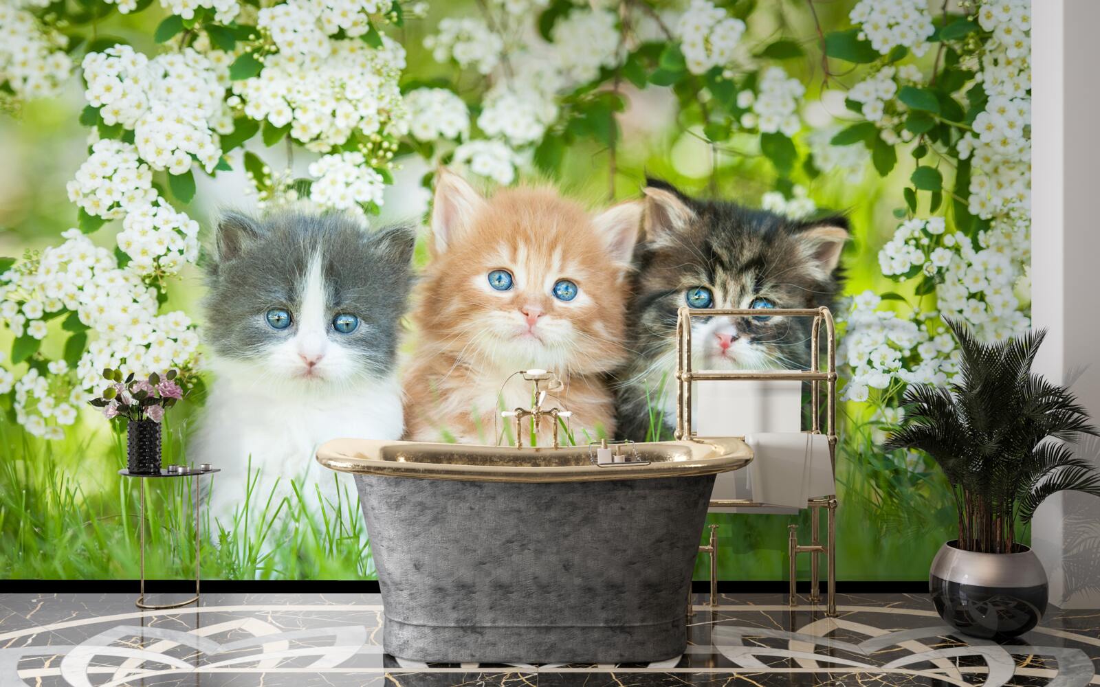 Papier peint chatons dans un pré en fleurs