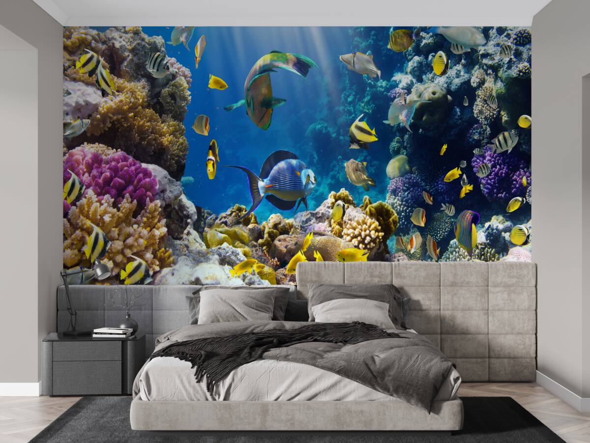 Papier peint des poissons brillants et des plantes sous-marines