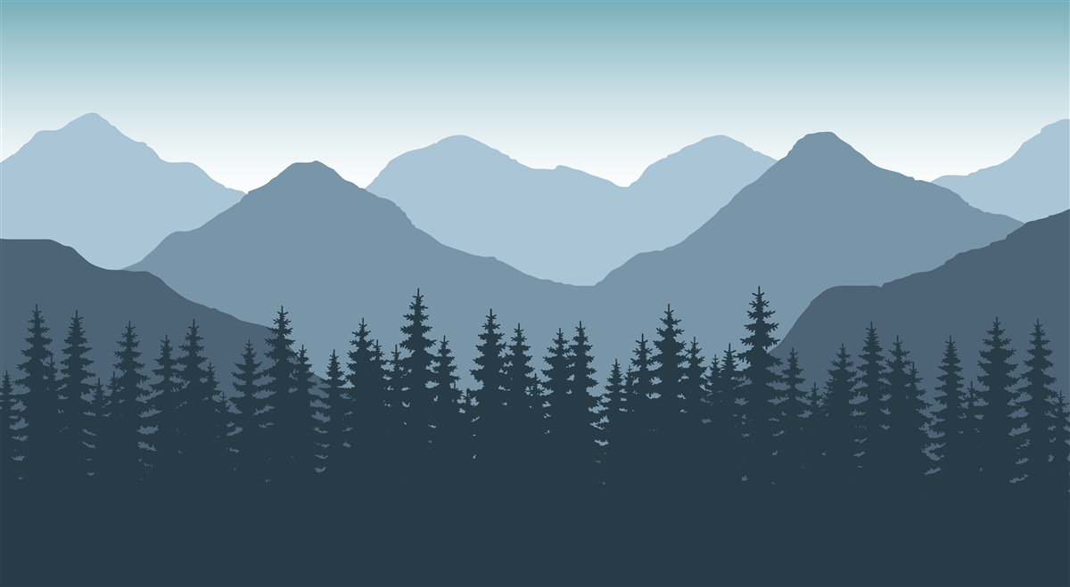 Papier peint montagnes brumeuses et forêts de conifères