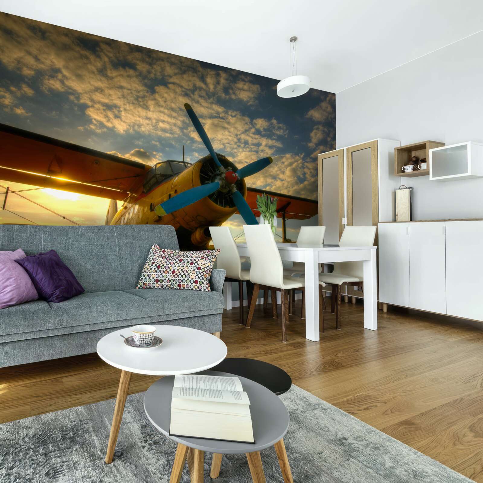 Papier peint dans le champ, il y a un avion de collection avec une hélice