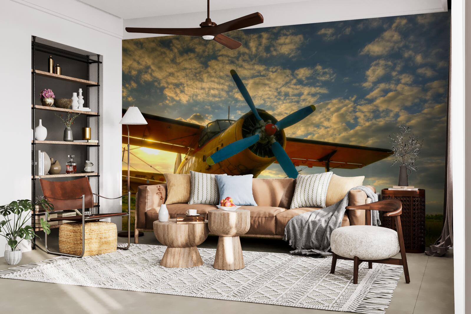 Papier peint dans le champ, il y a un avion de collection avec une hélice