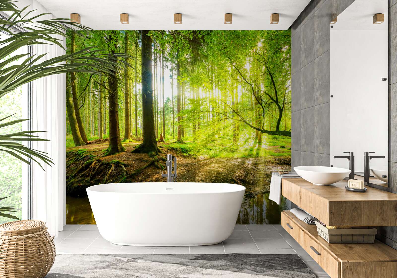 Papier peint Les rayons du soleil réveillent une forêt endormie