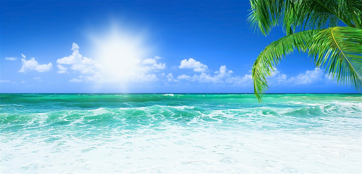 Papier peint marée haute tropicale pendant la journée