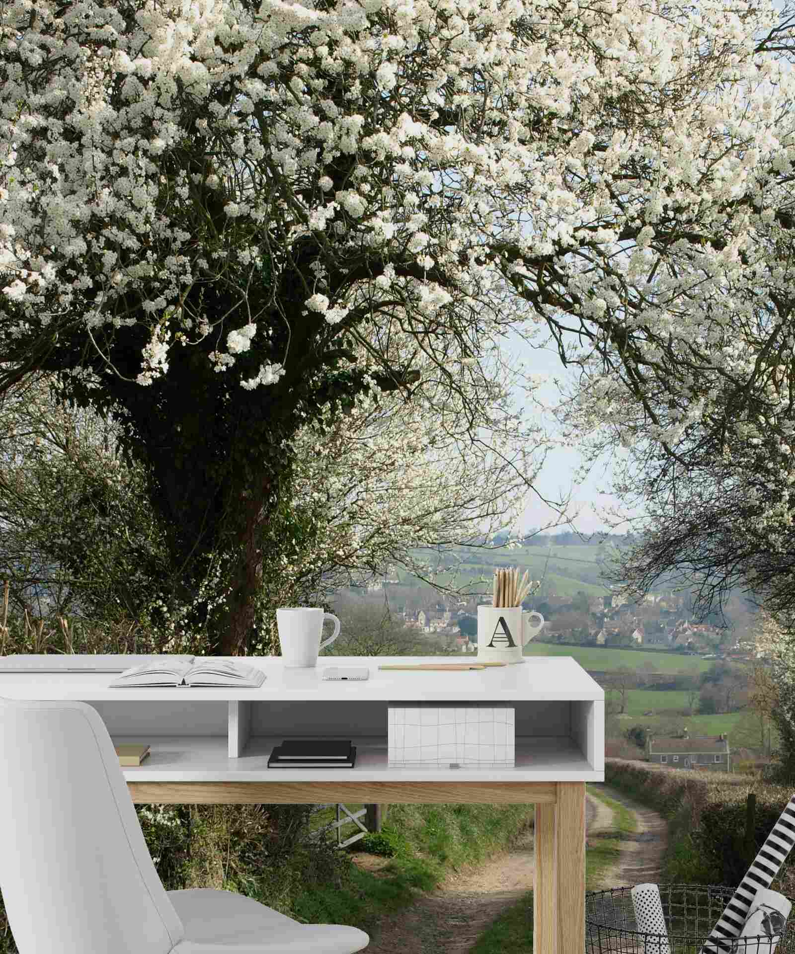 Papier peint route de campagne