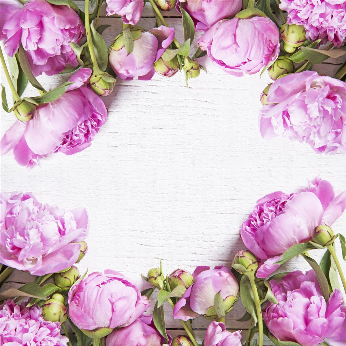 Papier peint fleurs violettes dans la décoration