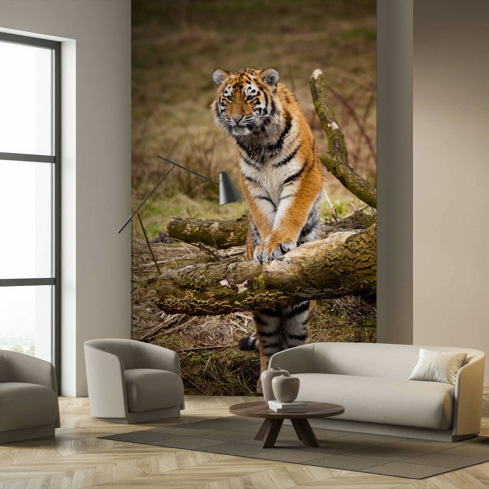 Papier peint le tigre s'assoit sur une branche et attend sa proie