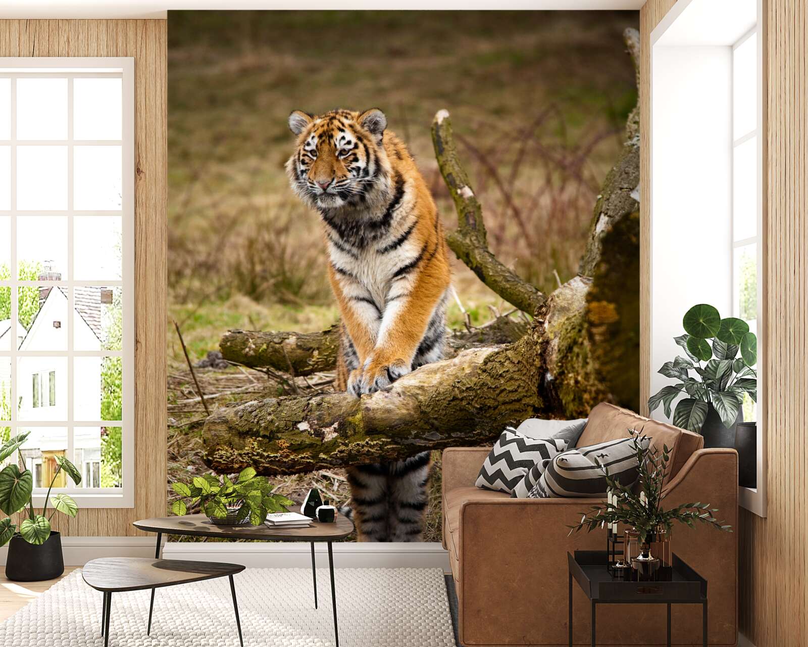 Papier peint le tigre s'assoit sur une branche et attend sa proie