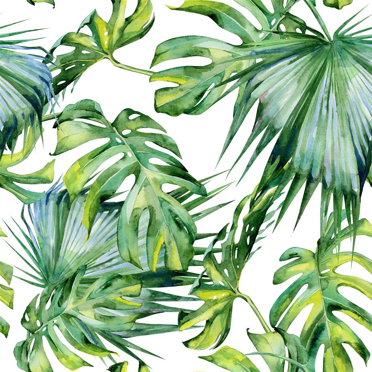 Papier peint la monstera quitte les tropiques