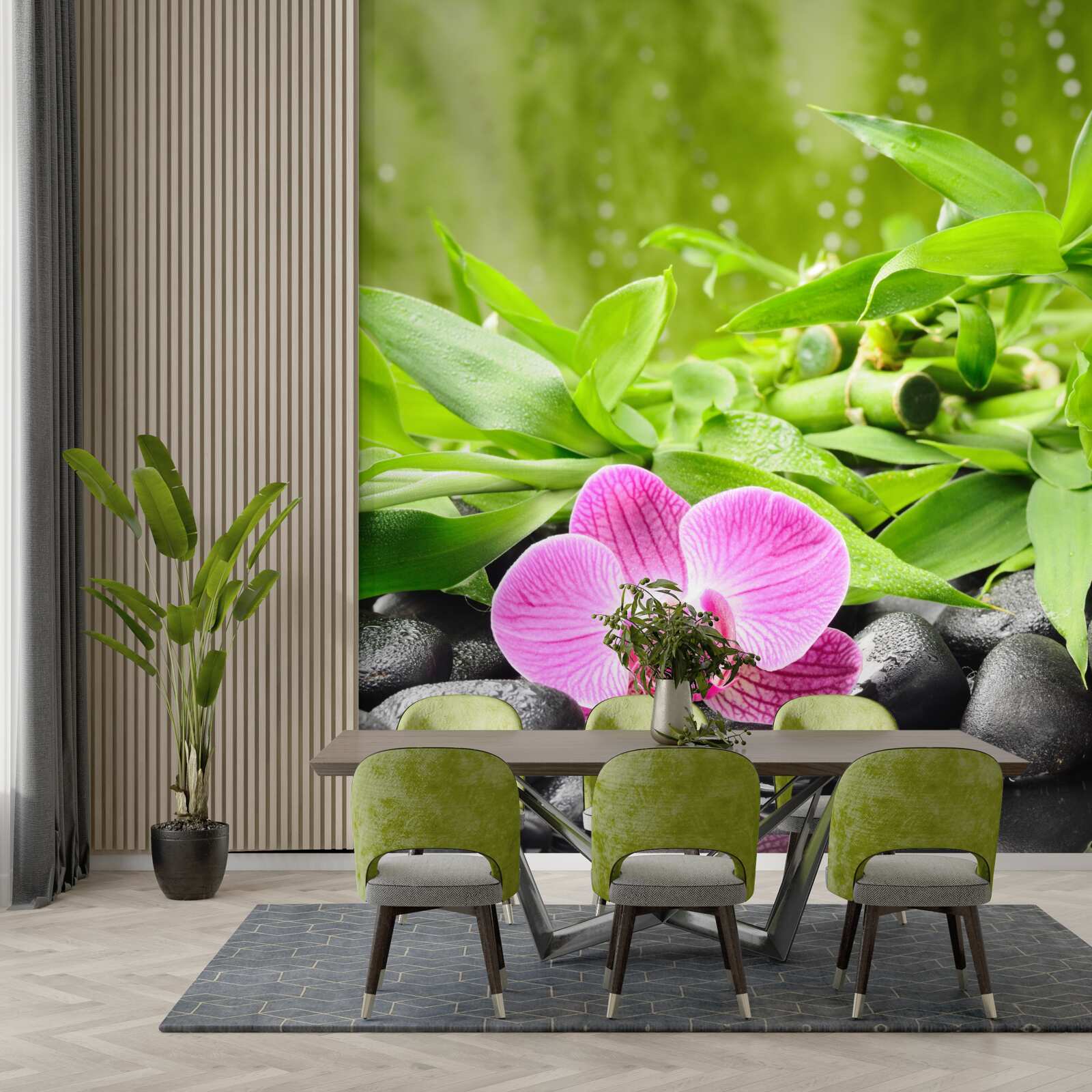 Papier peint orchidée gracieusement posée sur une pierre sombre près de l'eau