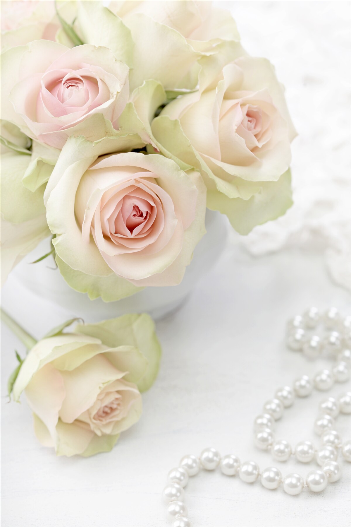 Papier peint composition de délicates roses roses pâles et de perles