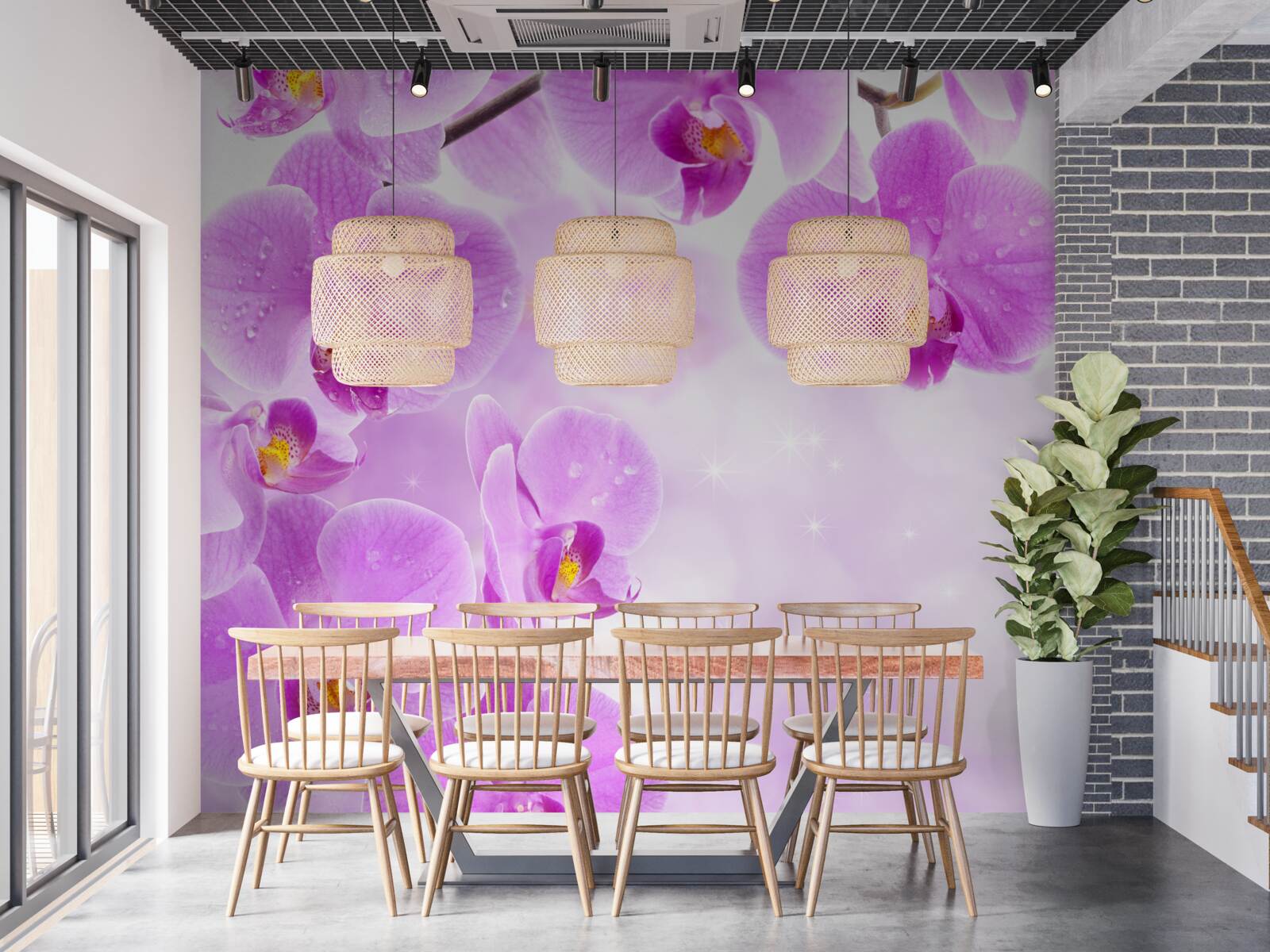 Papier peint de grandes orchidées violettes ont fleuri sur la branche