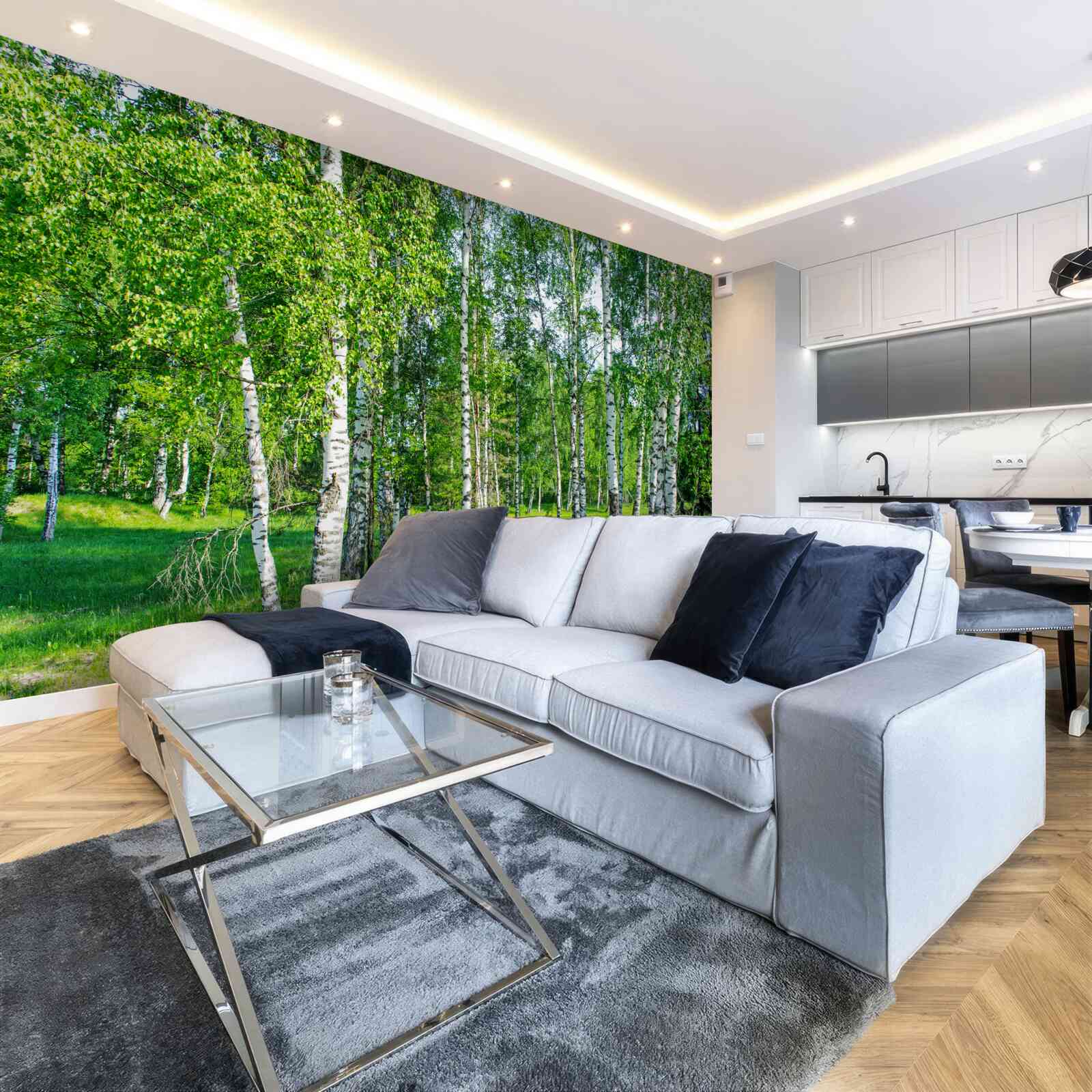 Papier peint les bouleaux aux feuilles vertes poussent dans la forêt d'été