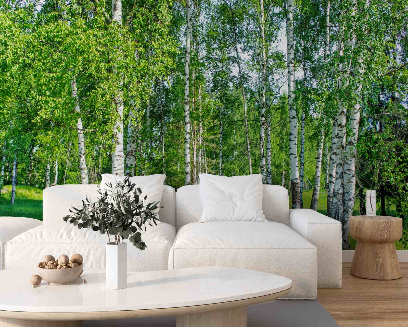 Papier peint les bouleaux aux feuilles vertes poussent dans la forêt d'été