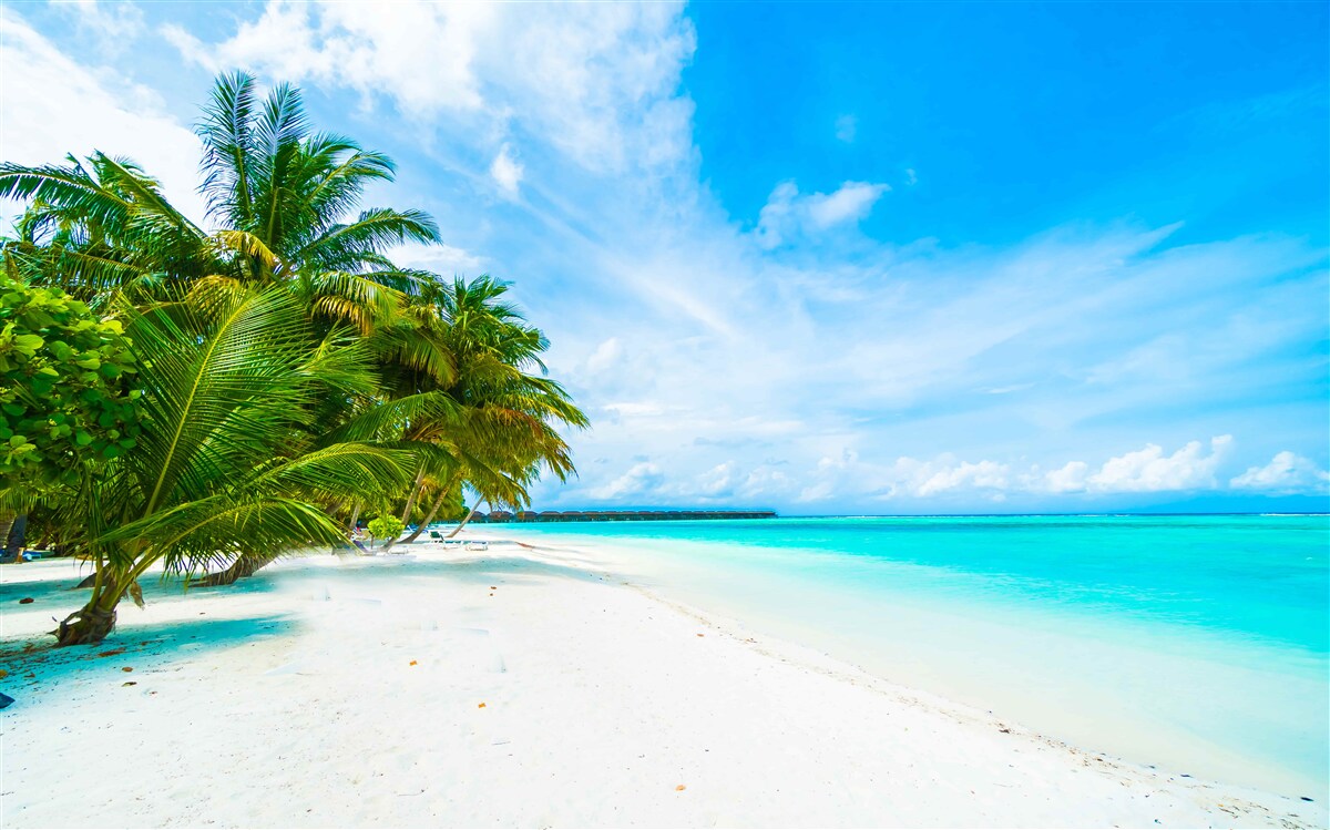 Papier peint rivages sablonneux et eau turquoise de l'océan