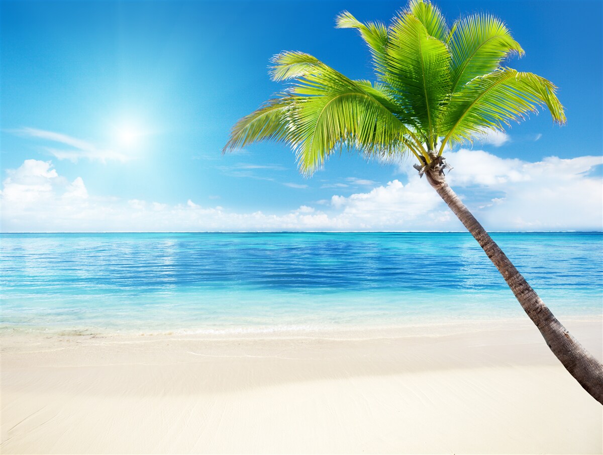 Papier peint journée ensoleillée sur le rivage sous les tropiques