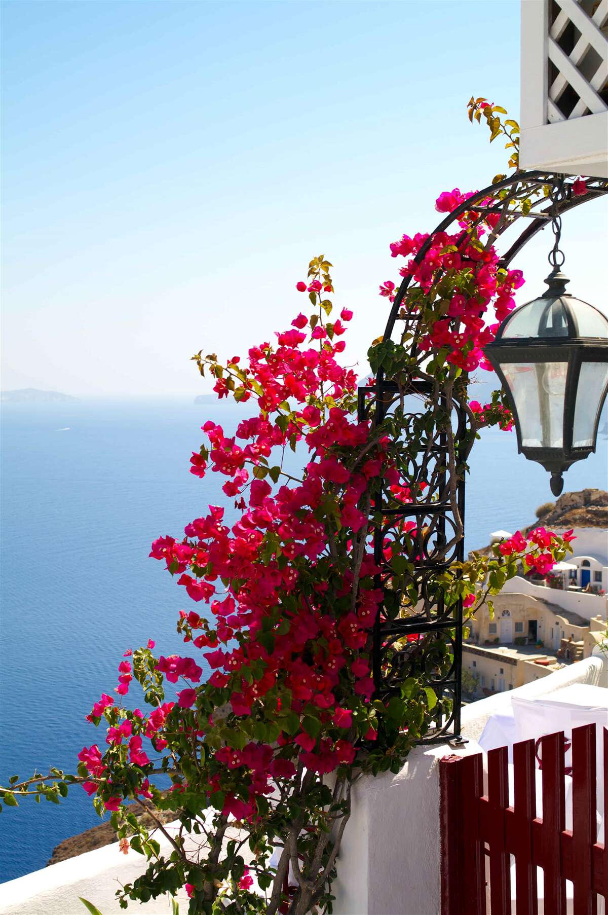 Papier peint Une arche près de l'étang, parsemée de fleurs rouges épanouies