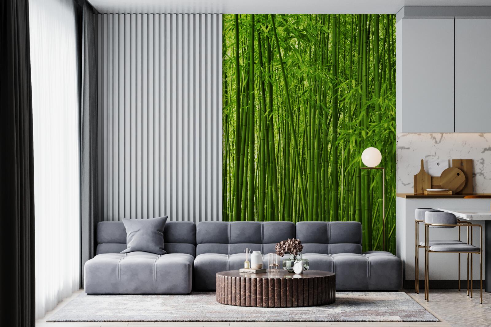 Papier peint formation dense de fins fourrés de bambous