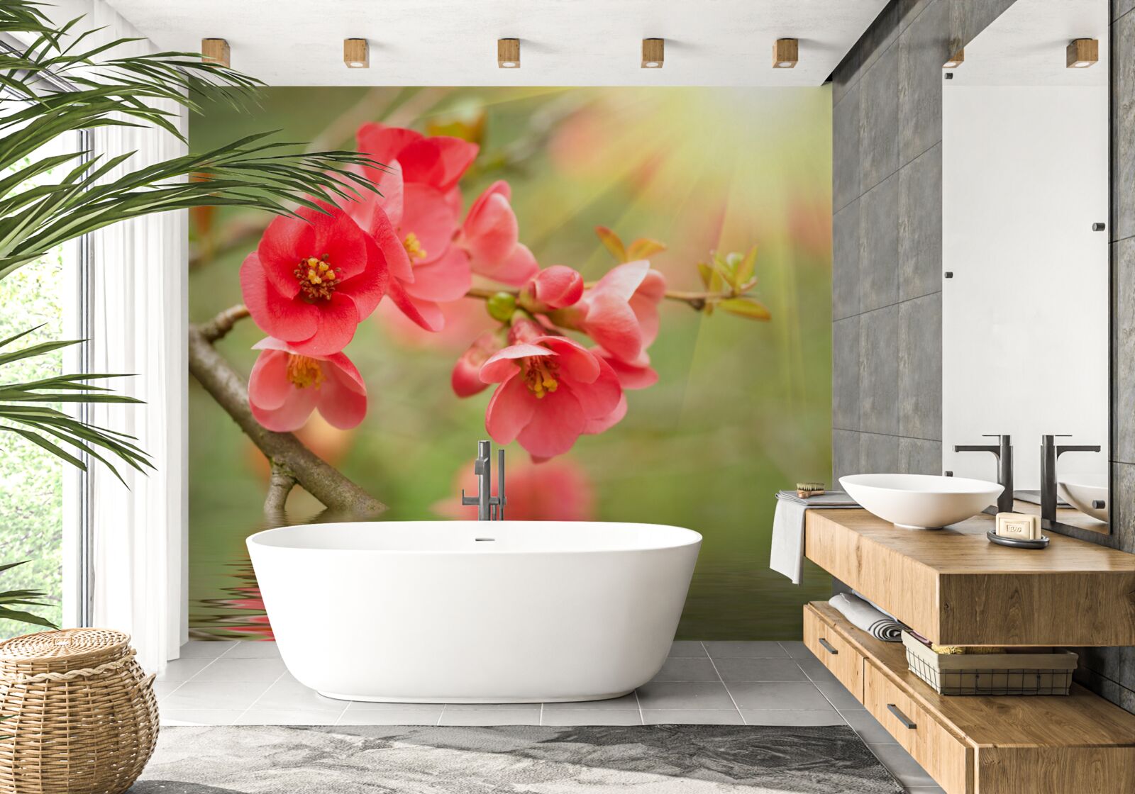 Papier peint les fleurs de sakura écarlates scintillent au bord de l'eau par une journée ensoleillée