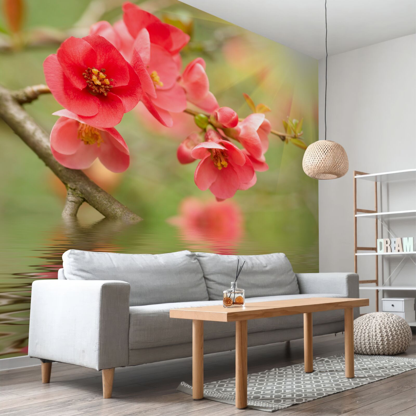 Papier peint les fleurs de sakura écarlates scintillent au bord de l'eau par une journée ensoleillée