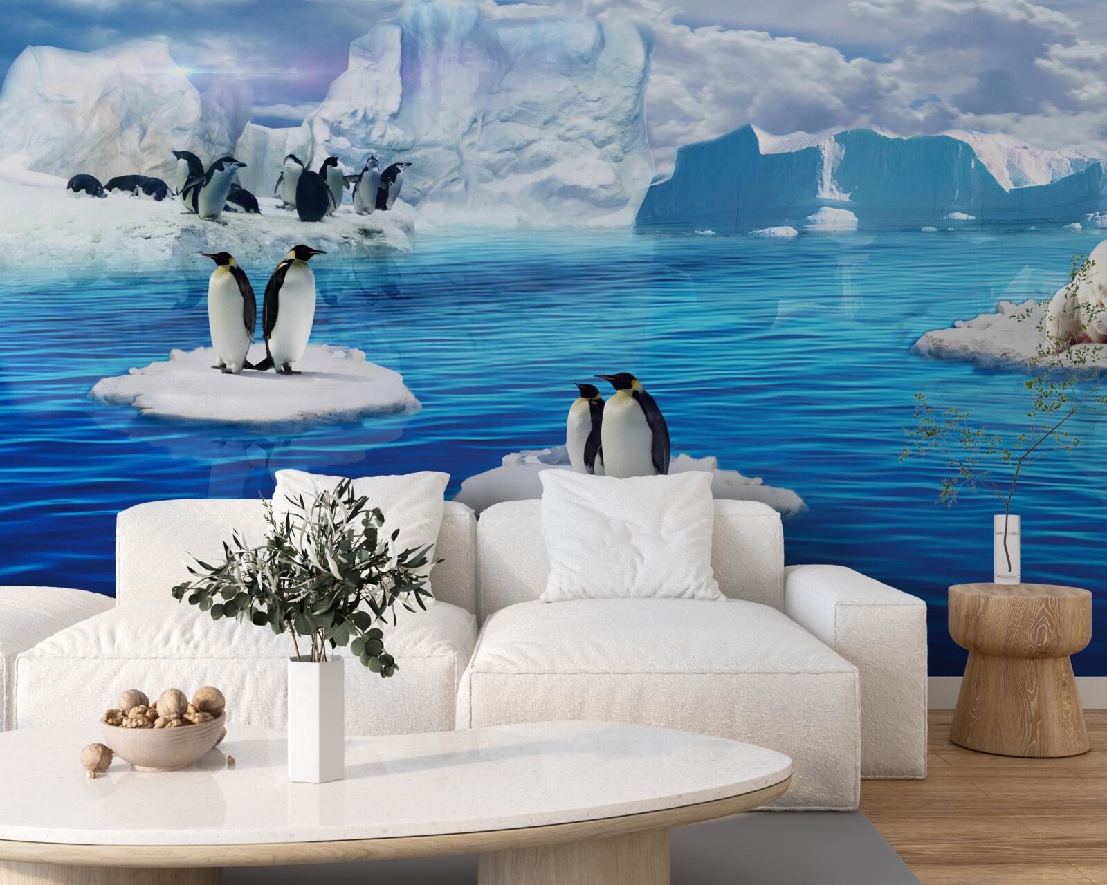 Papier peint familles de manchots sur les plates-formes de glace