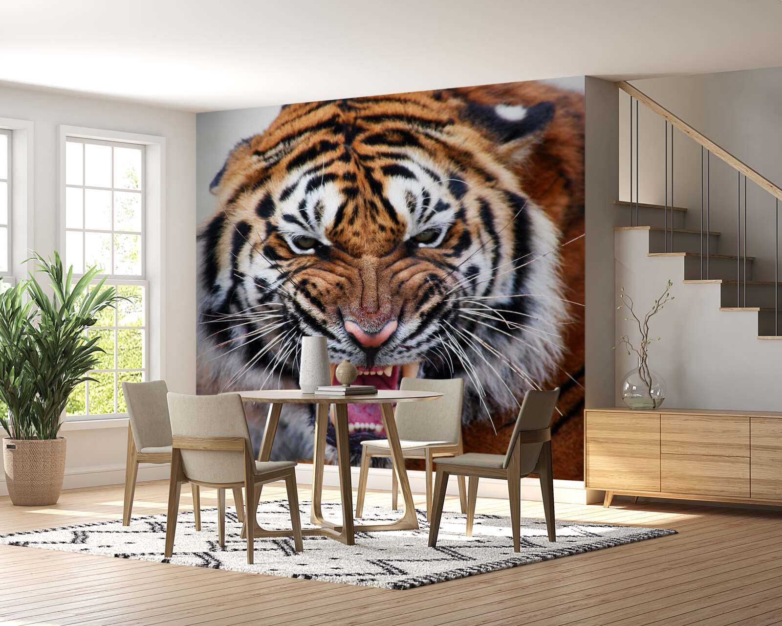 Papier peint un tigre adulte en colère rugit