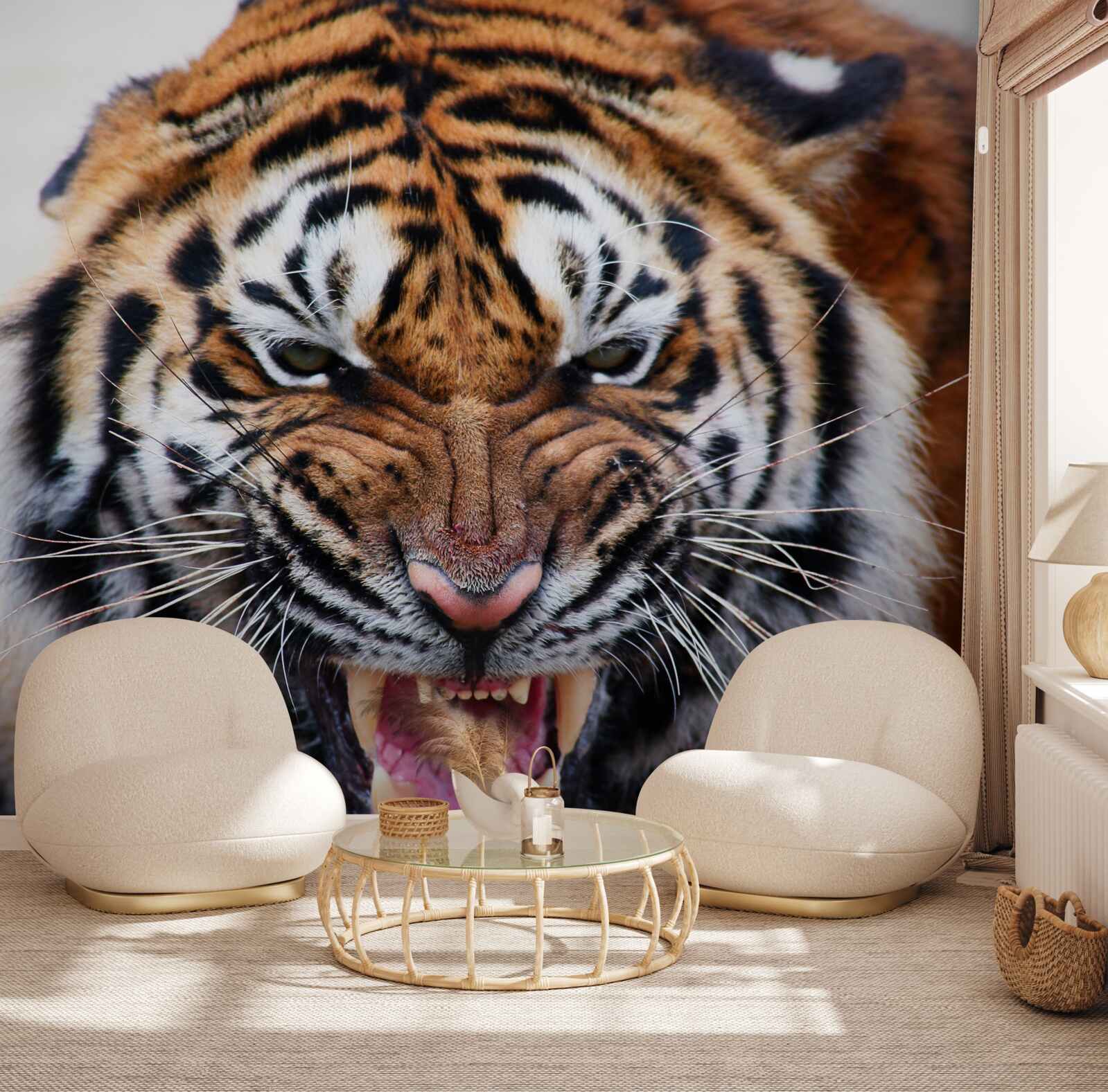 Papier peint un tigre adulte en colère rugit