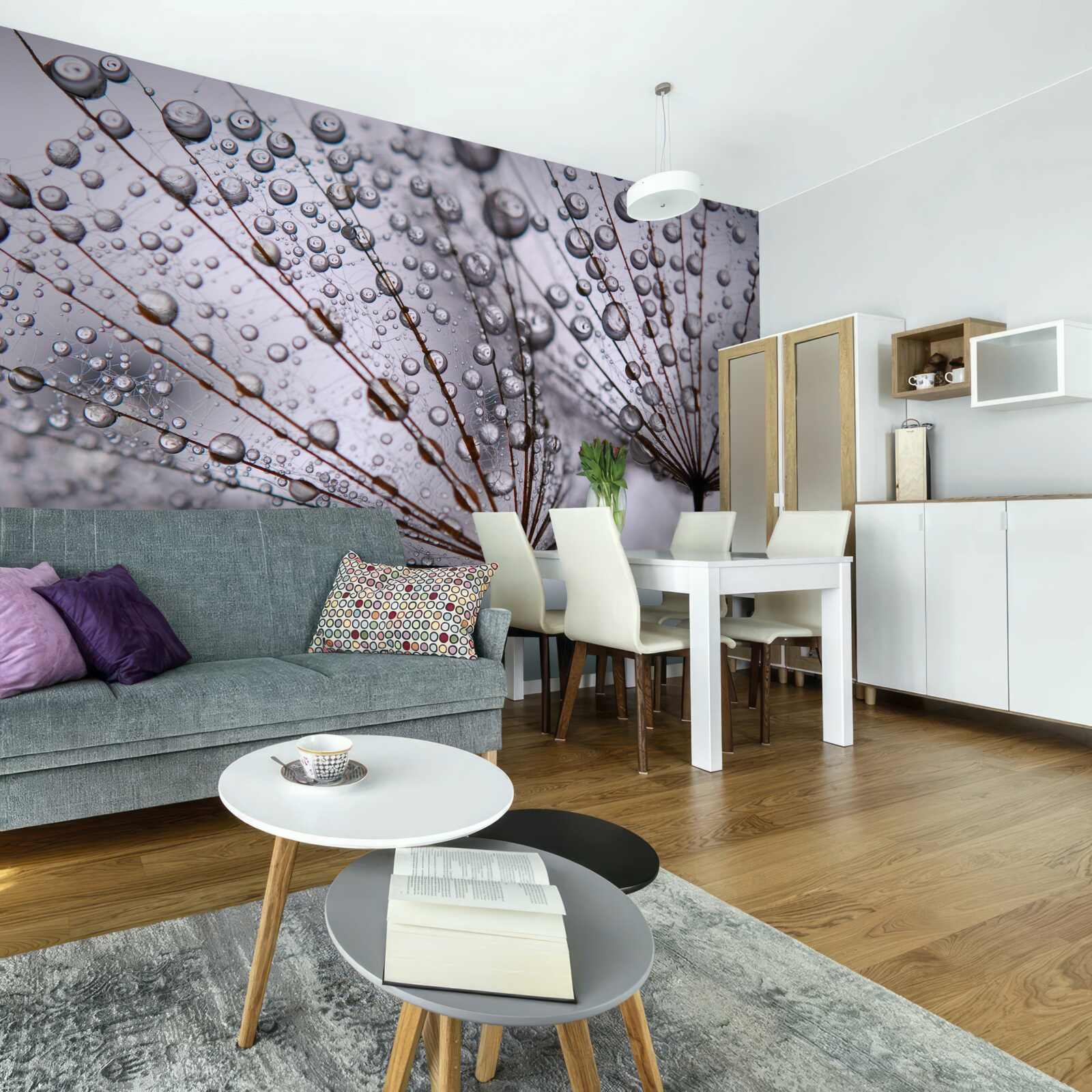 Papier peint gouttes de rosée laissées sur les fleurs de pissenlit