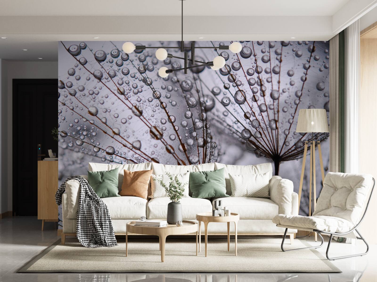 Papier peint gouttes de rosée laissées sur les fleurs de pissenlit