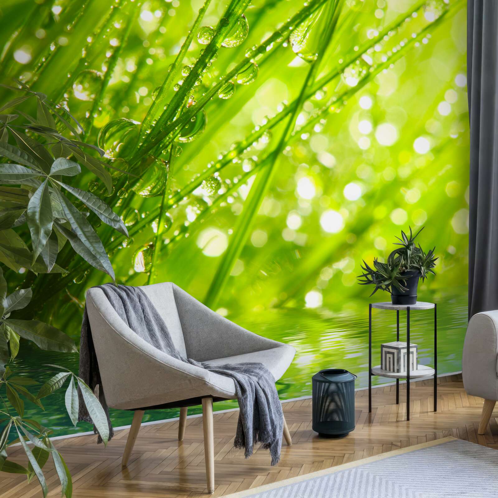 Papier peint grosses gouttes de rosée sur les branches près de l'eau