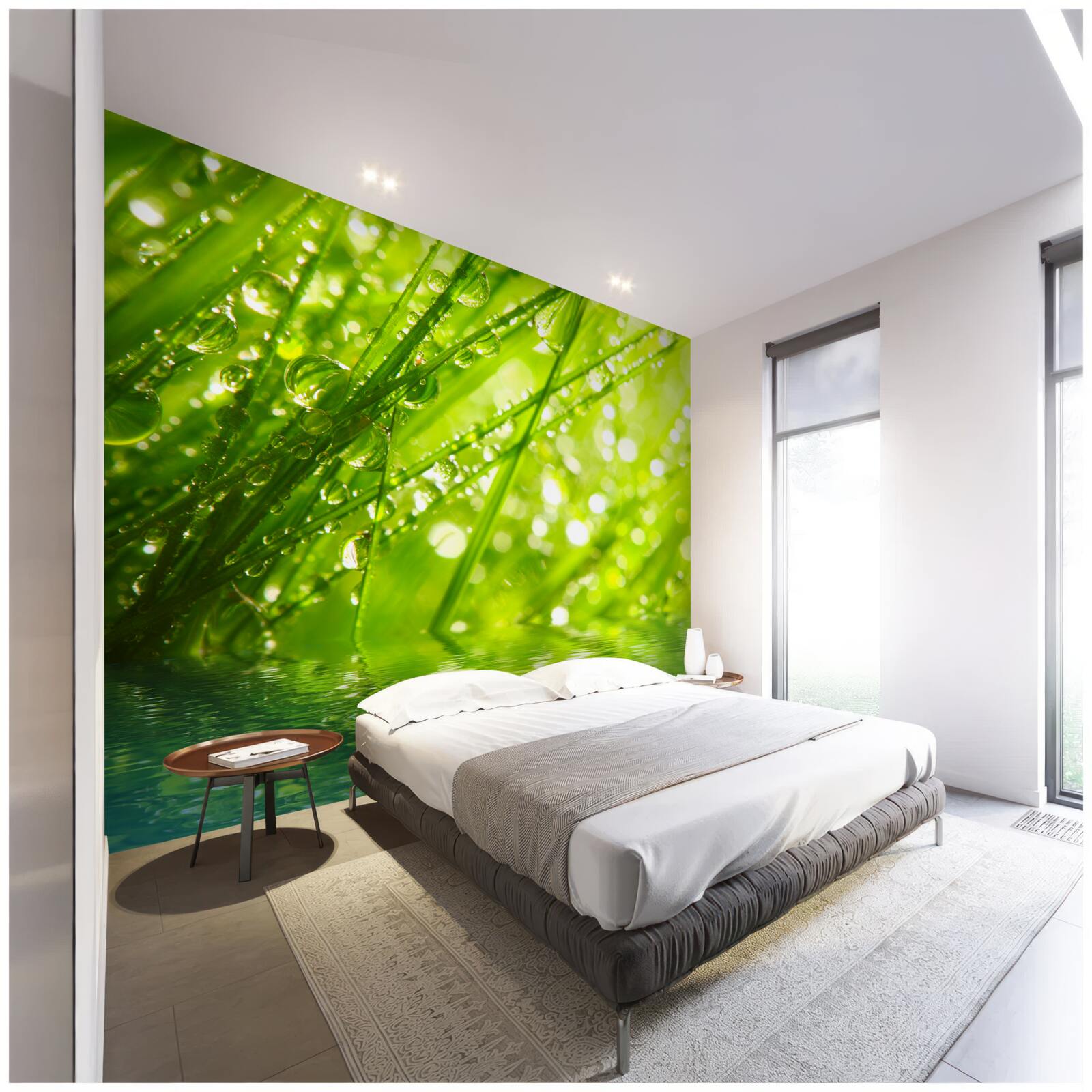 Papier peint grosses gouttes de rosée sur les branches près de l'eau