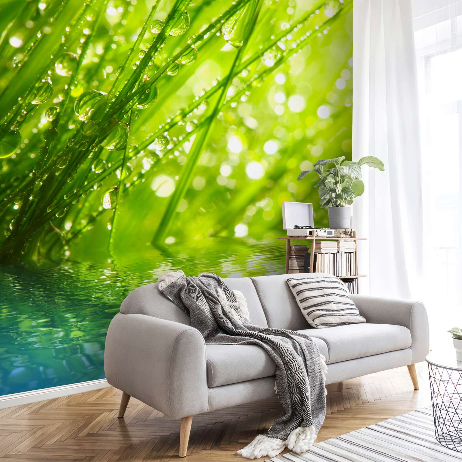 Papier peint grosses gouttes de rosée sur les branches près de l'eau