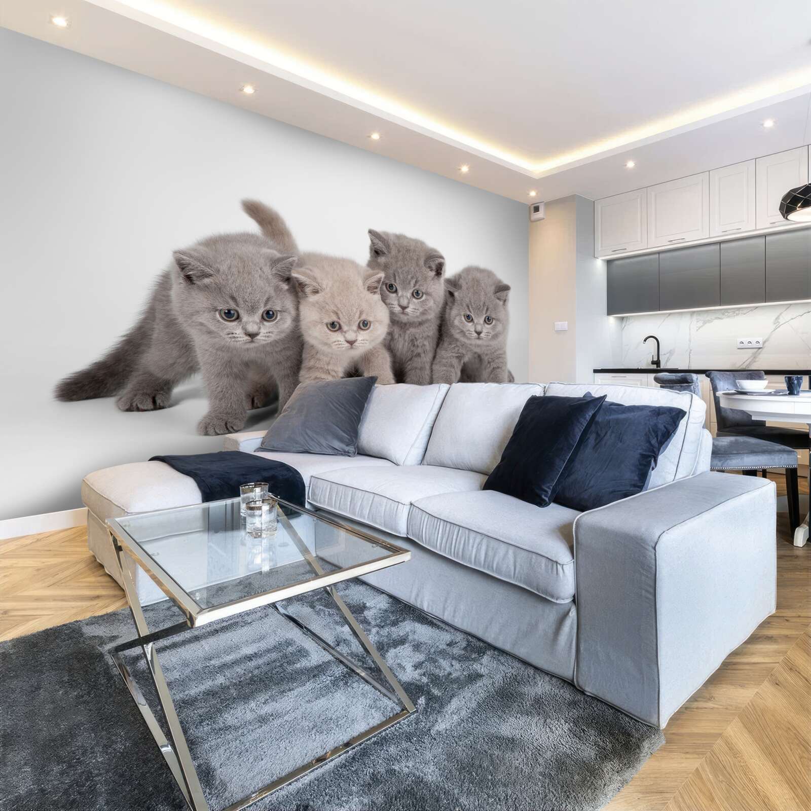 Papier peint quatre petits chatons mignons