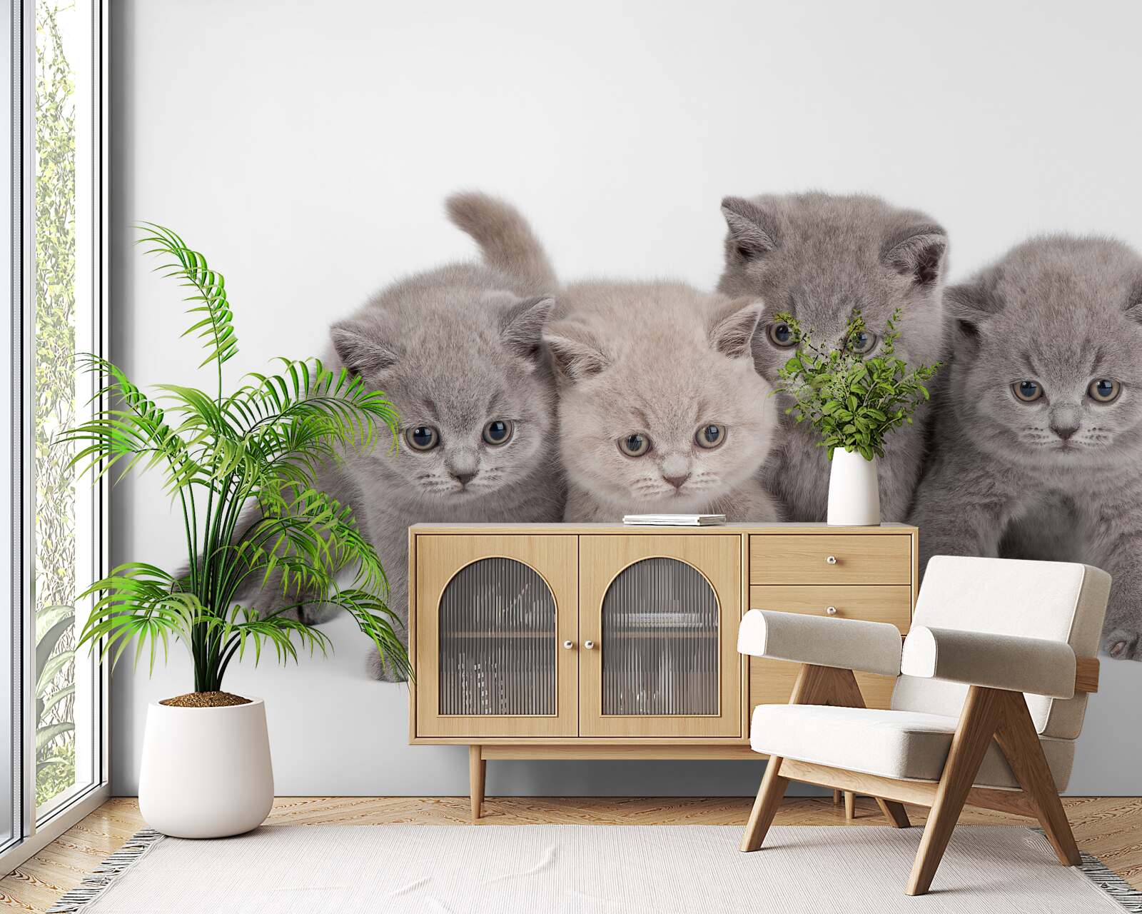 Papier peint quatre petits chatons mignons