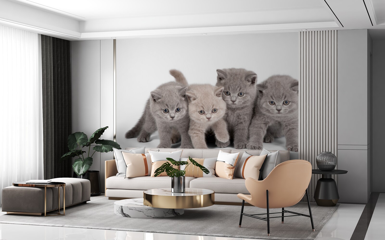 Papier peint quatre petits chatons mignons