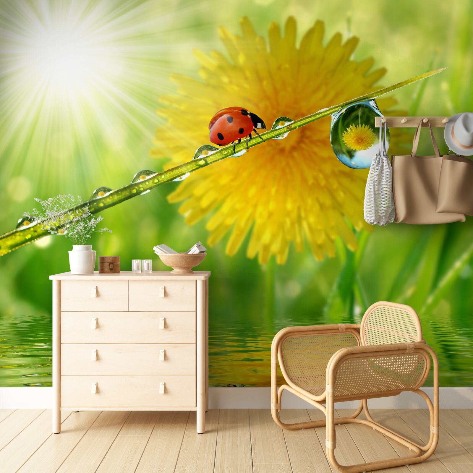 Papier peint grand pissenlit dans les gouttes de pluie près de l'eau