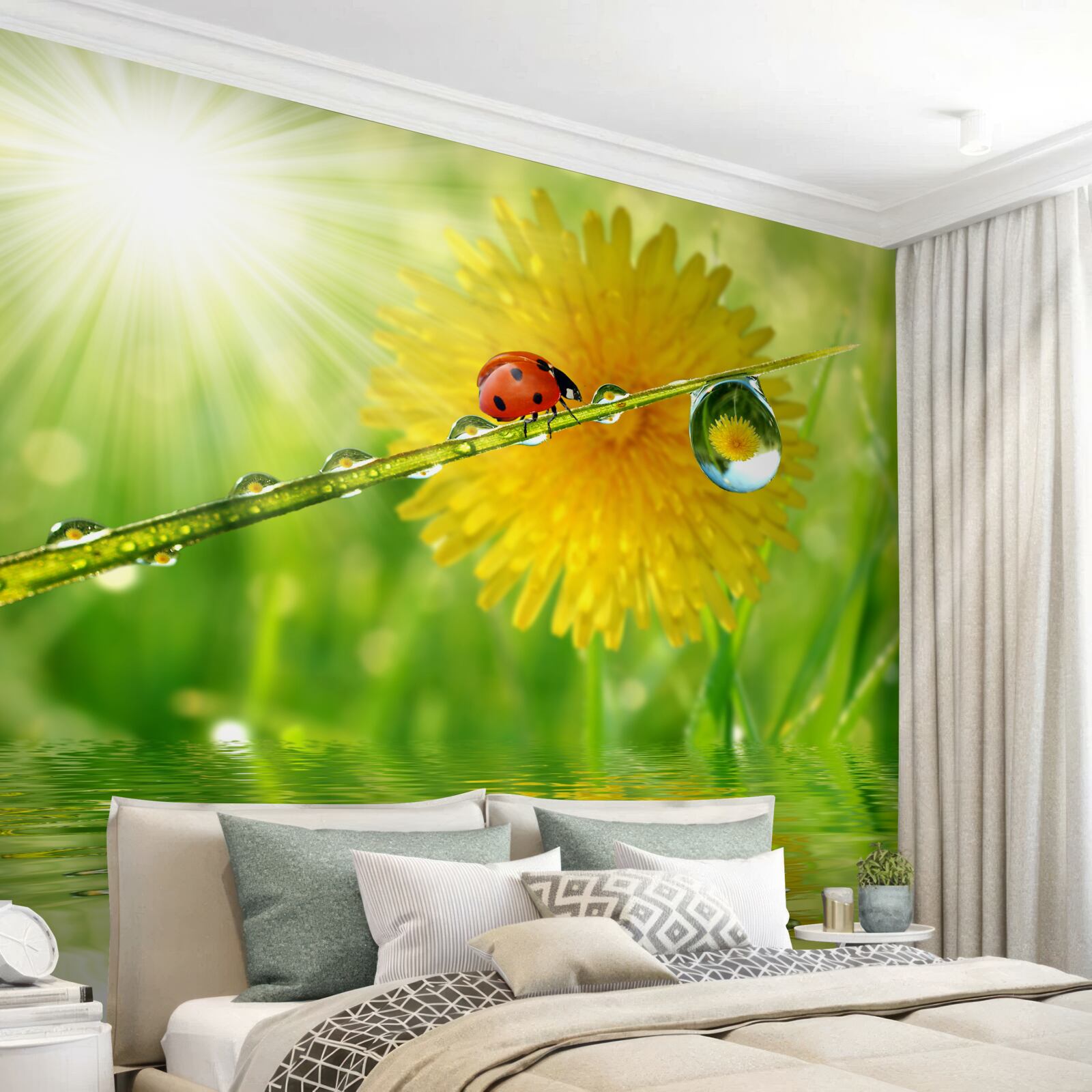 Papier peint grand pissenlit dans les gouttes de pluie près de l'eau