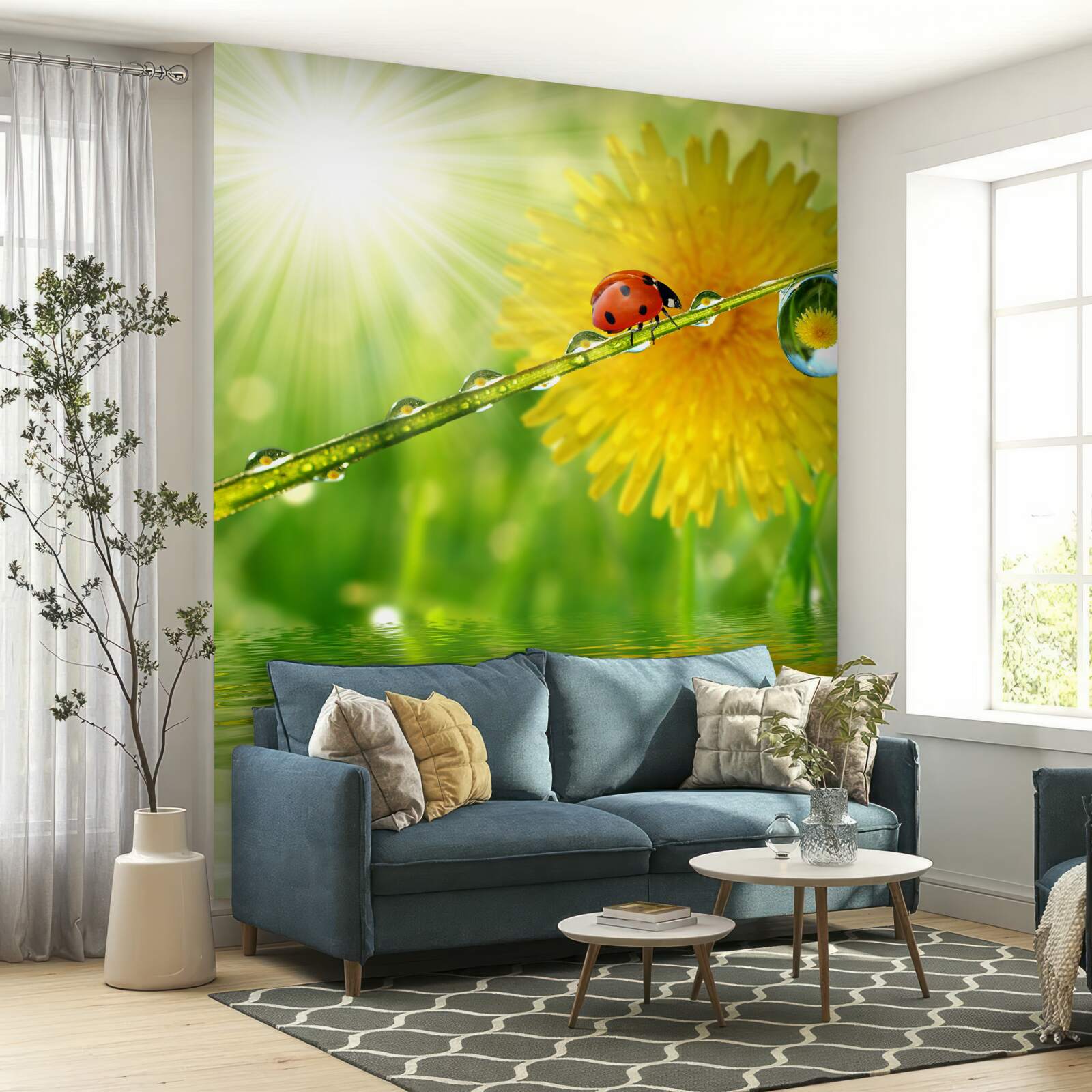 Papier peint grand pissenlit dans les gouttes de pluie près de l'eau