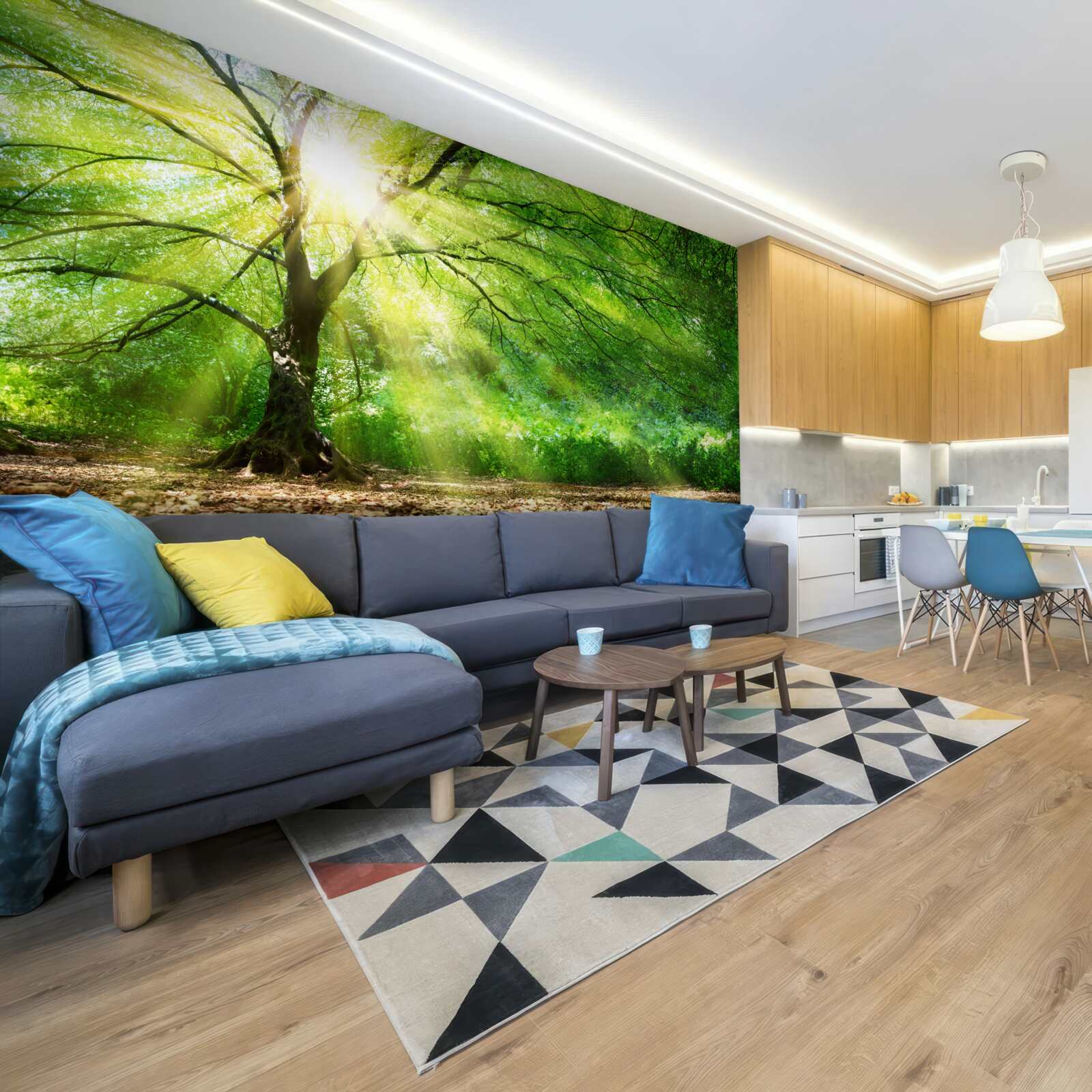 Papier peint de légers rayons de soleil percent à travers la couronne d'arbres luxuriants