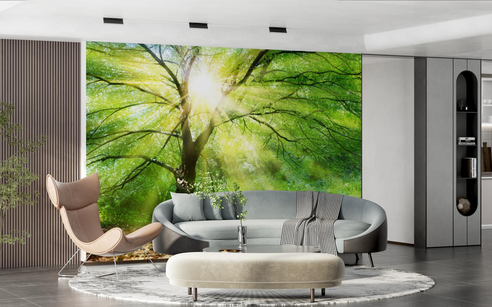 Papier peint de légers rayons de soleil percent à travers la couronne d'arbres luxuriants