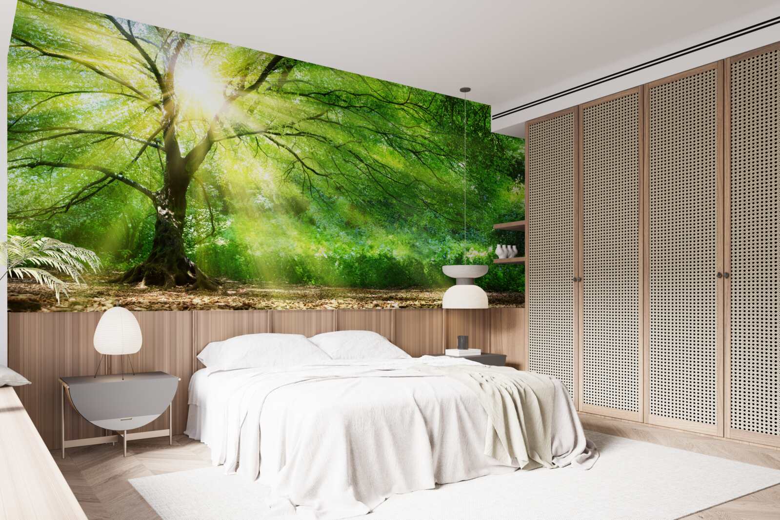 Papier peint de légers rayons de soleil percent à travers la couronne d'arbres luxuriants