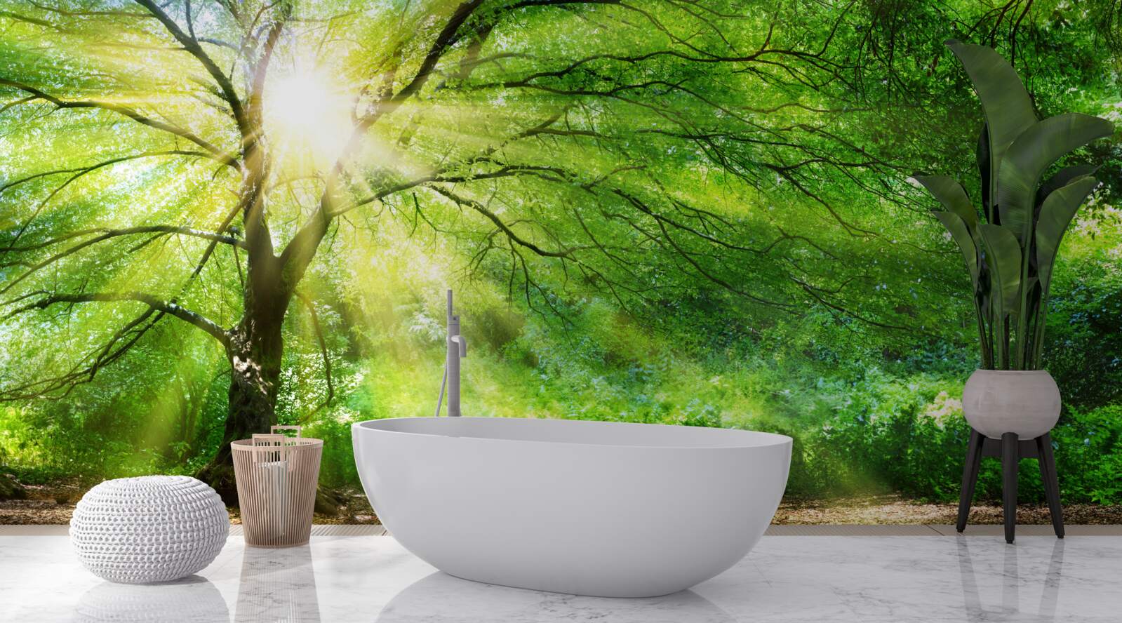 Papier peint de légers rayons de soleil percent à travers la couronne d'arbres luxuriants