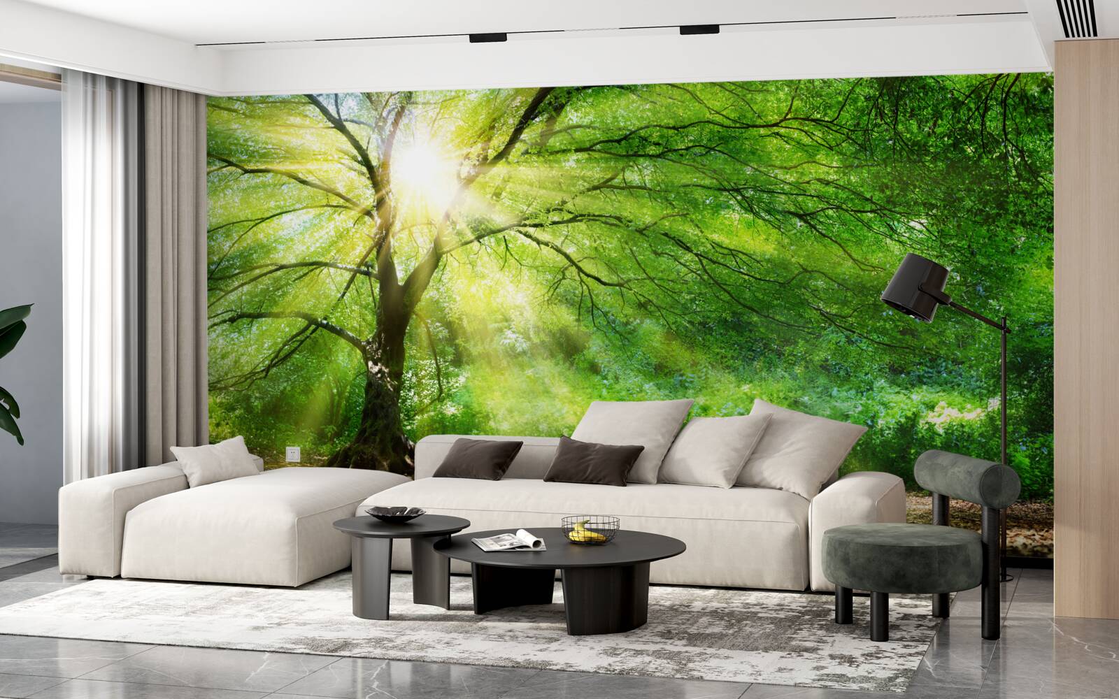 Papier peint de légers rayons de soleil percent à travers la couronne d'arbres luxuriants